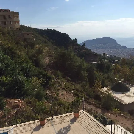 فيلة Platanus ألانيا